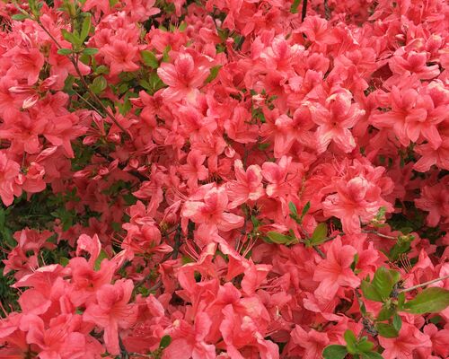 E0E0344C-EA38-41E7-BCF9-7BED10704D42